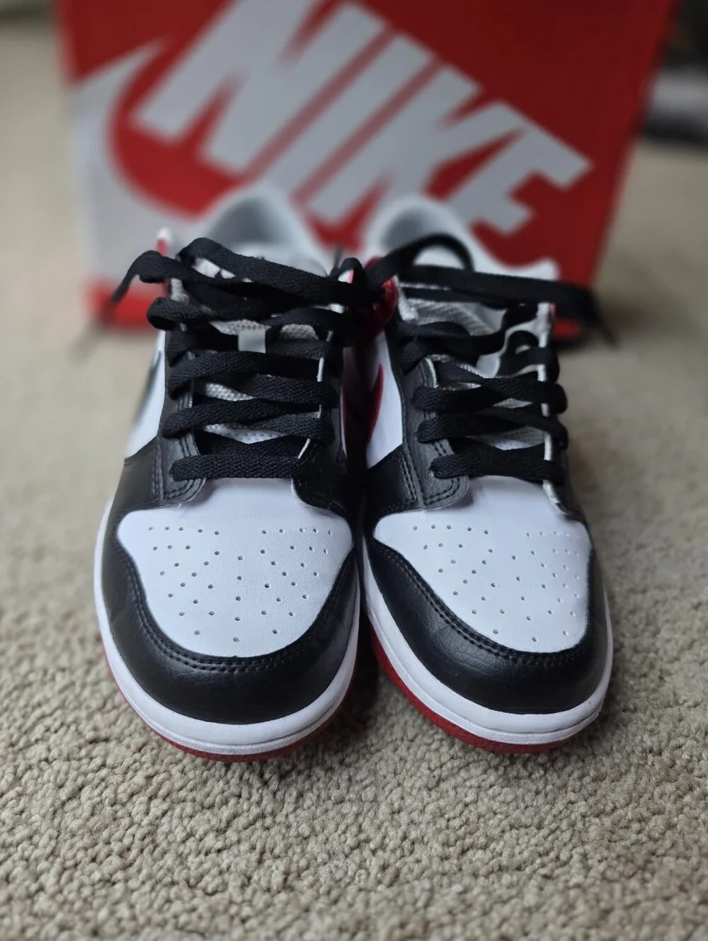 Nike Dunk Low (GS) 